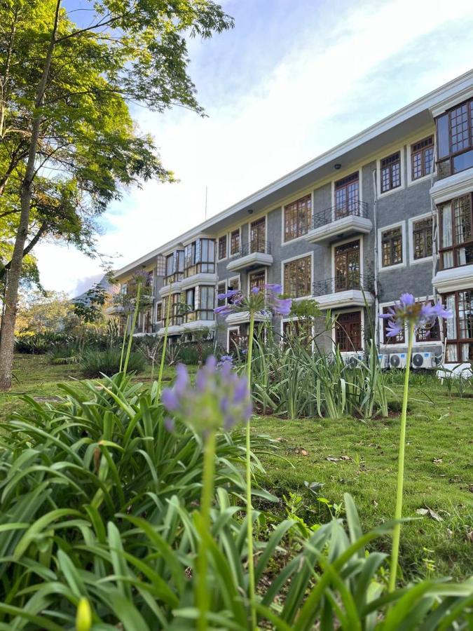 Aroso Paco Hotel Pedra Azul  Kültér fotó The Faculty of Law