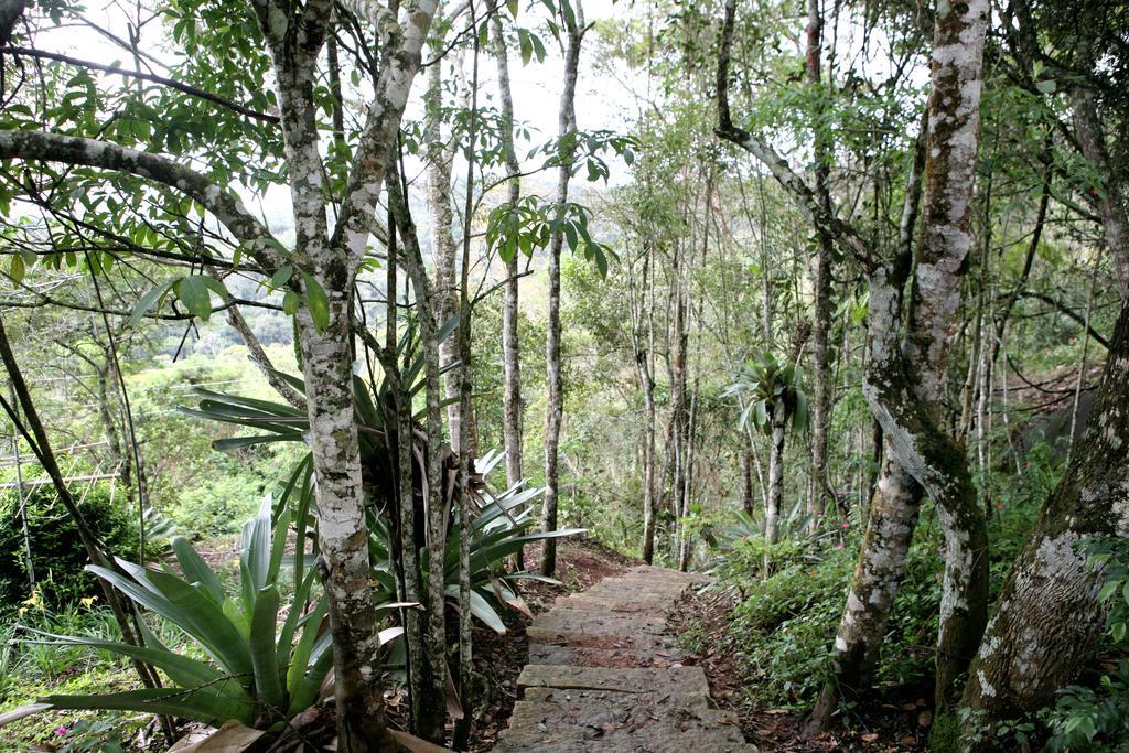 Aroso Paco Hotel Pedra Azul  Kültér fotó A trail in the park